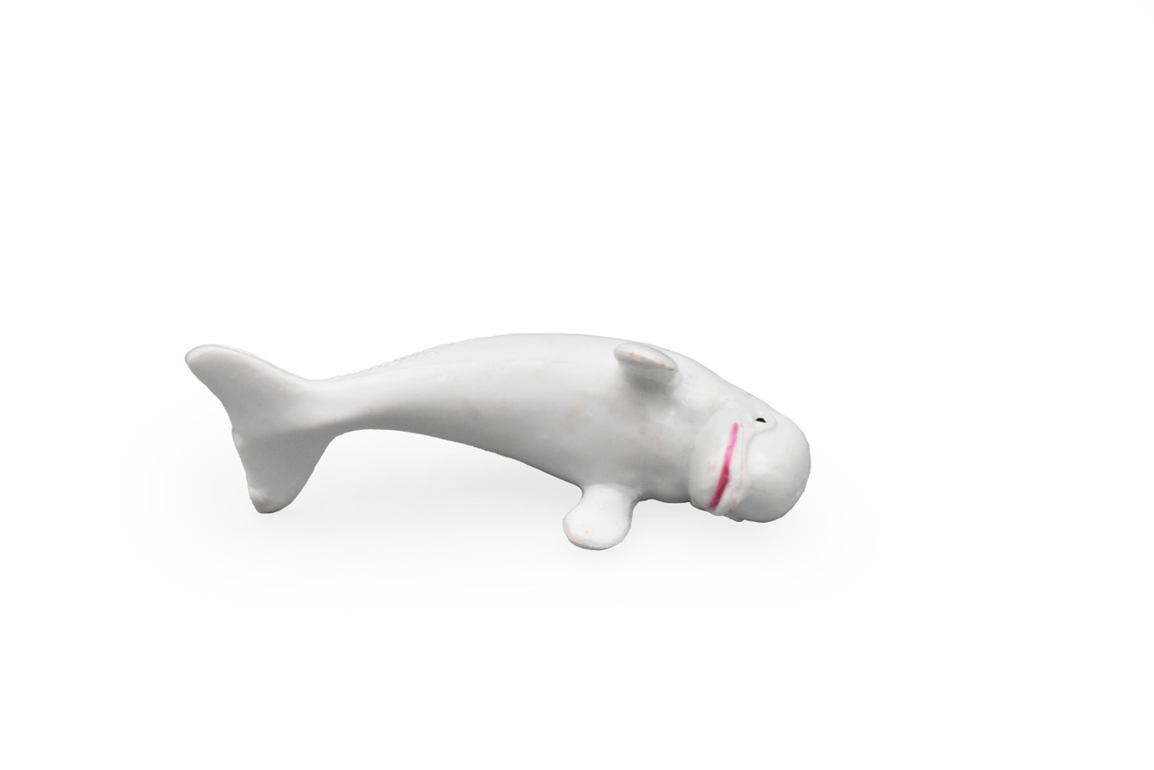 Beluga Whale, Calf, Baby, Delphinapterus leucas, Very Nice Plastic Replica, Hand Painted, Realistic, Educational,  Diorama Model, Replica, Toy,  2 1/2 Inches.