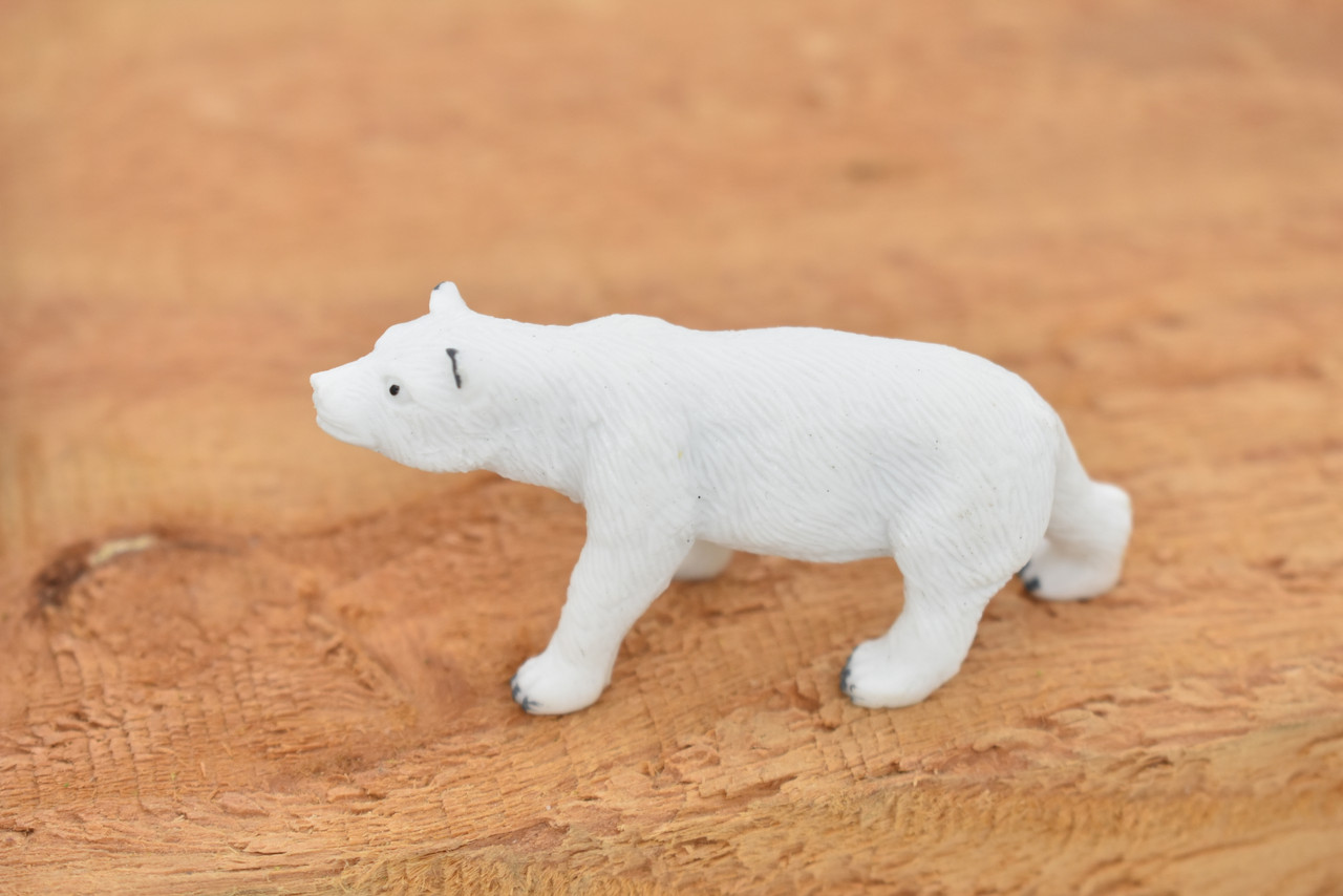 Polar Bear, Ursus maritimus, Polarbear, Very Nice Plastic Animal, Hand Painted, Realistic, Educational, Lifelike, Diorama Model, Replica, Toy,  2 1/2 Inches.
