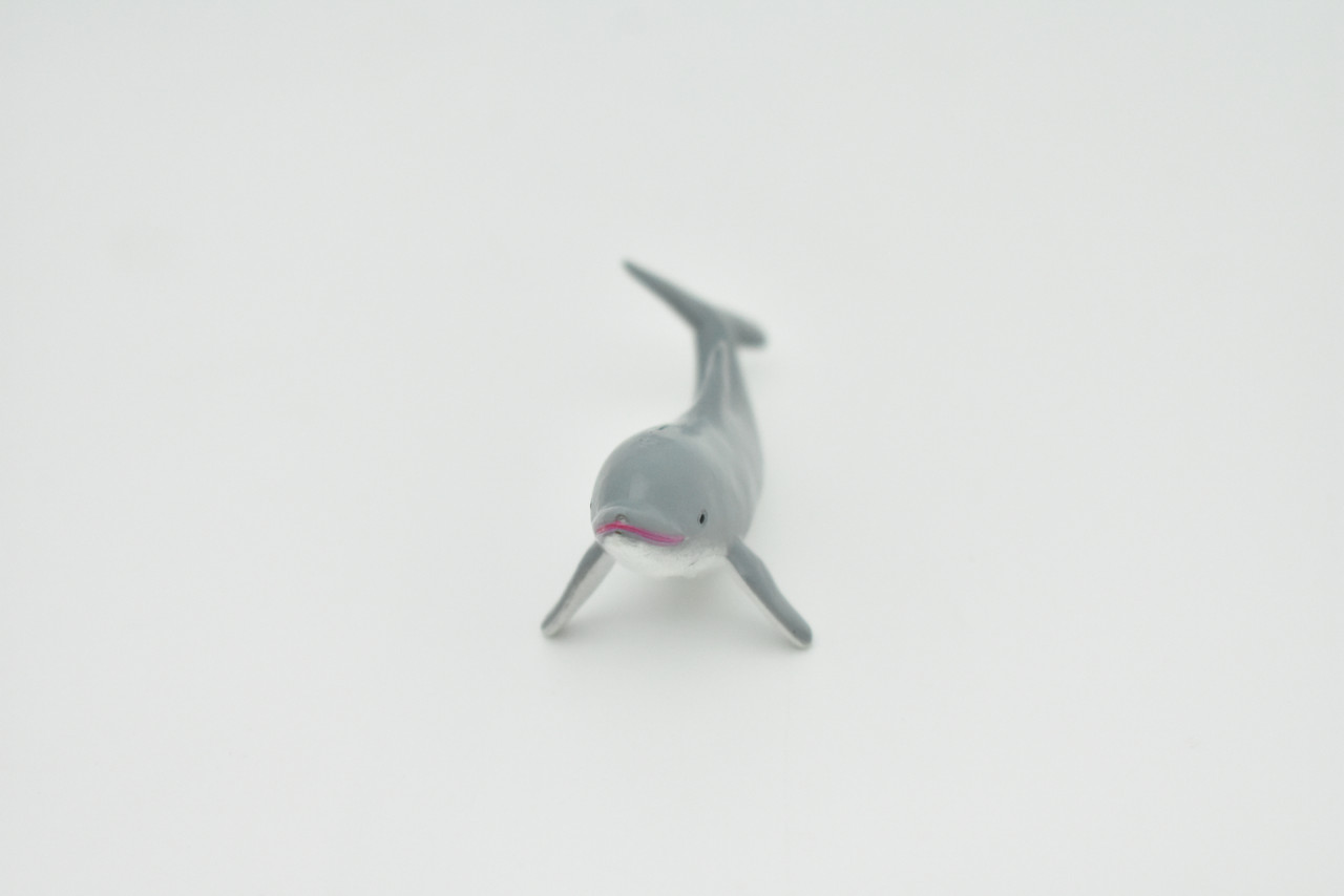 Dolphin, Calf, Baby,  Very Nice Plastic Replica    3"    F7035-B54