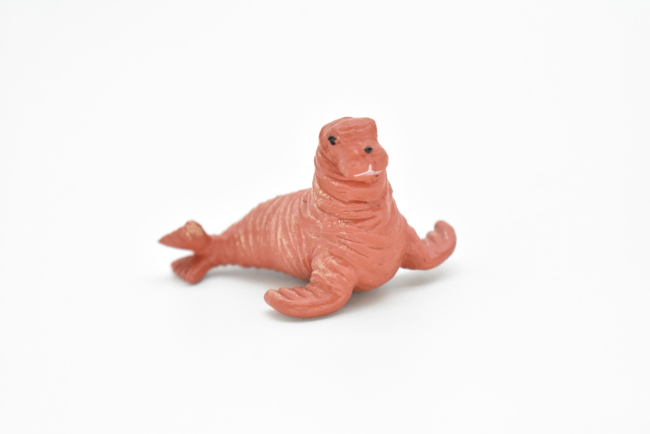 Walrus, Baby, Very Nice Plastic Replica    2"  ~   F7038-B67