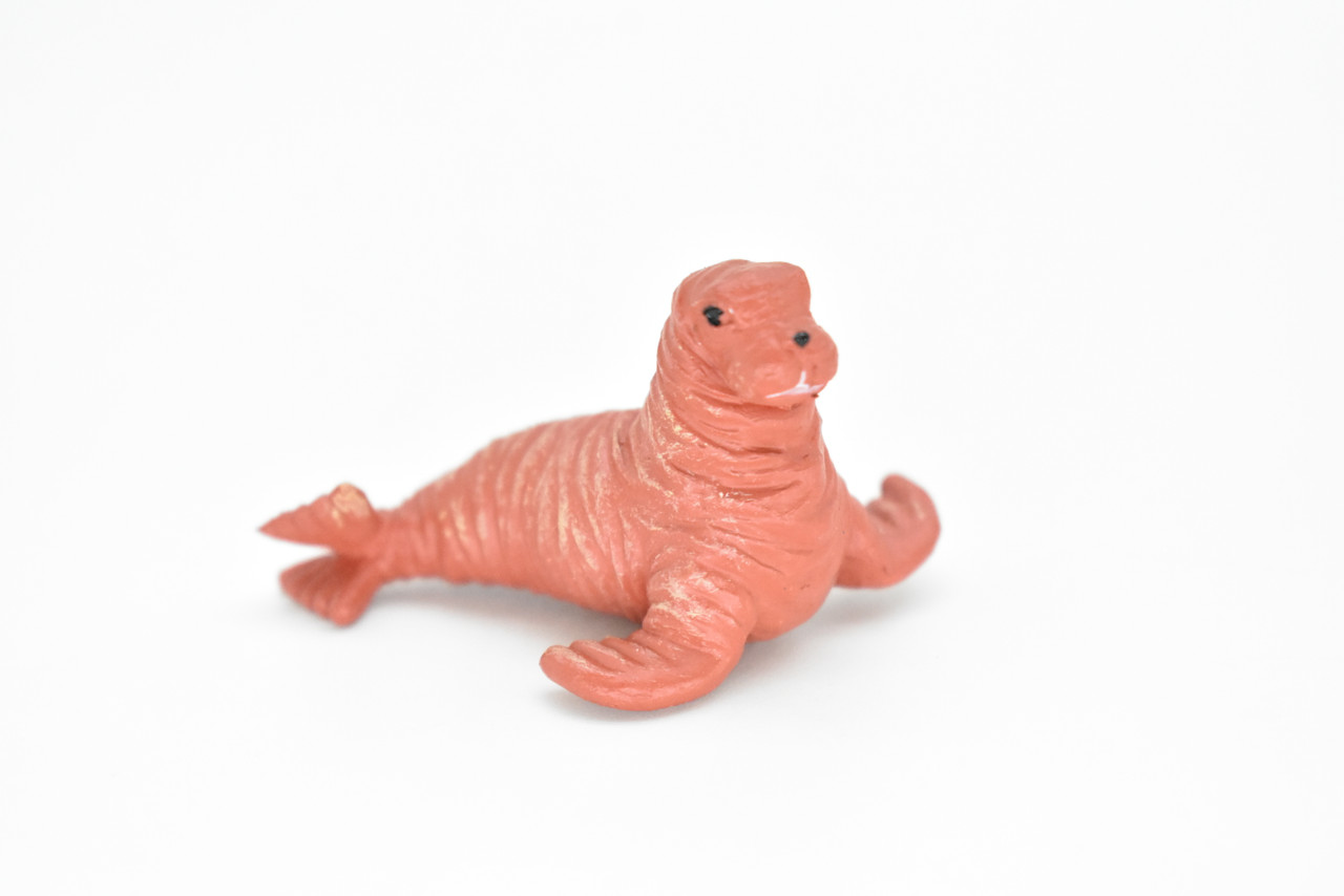Plastic walrus cheap