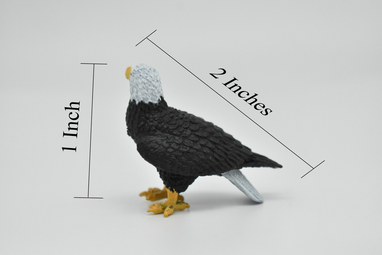 Bald Eagle, Very Nice Rubber Bird, Educational, Realistic, Hand Painted, Figure, Lifelike Model, Toys, Kids Gift,     2 Inches.