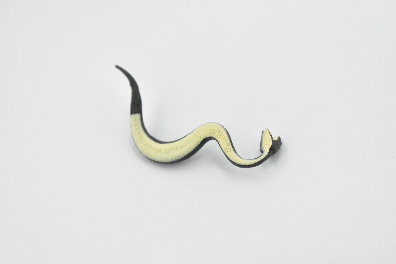 Black Water Moccasin, Snake, Rubber Reptile, Educational, Realistic Hand Painted, Figure, Lifelike Model, Figurine, Replica, Gift,      2 1/2 Inches    F7044 B165 