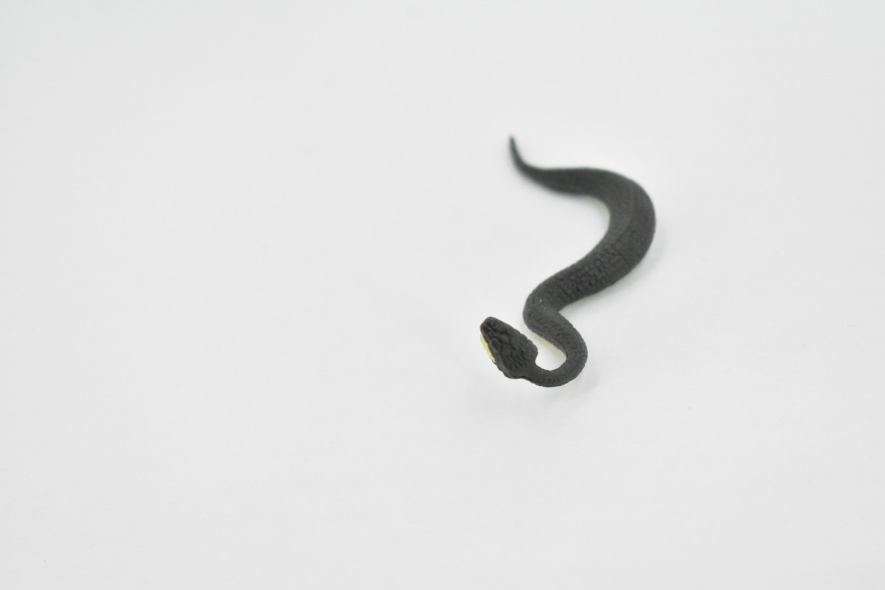 Black Water Moccasin, Snake, Rubber Reptile, Educational, Realistic Hand Painted, Figure, Lifelike Model, Figurine, Replica, Gift,      2 1/2 Inches    F7044 B165 
