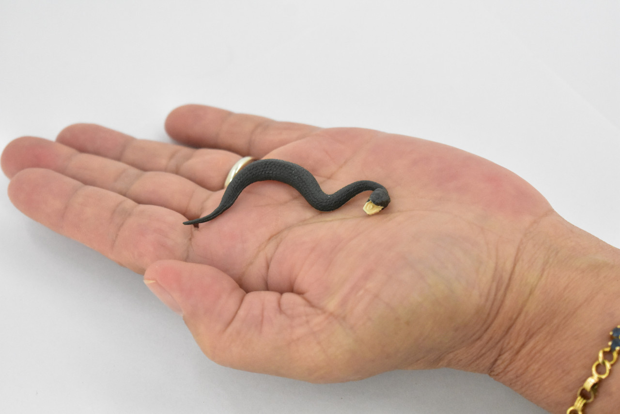 Black Water Moccasin, Snake, Rubber Reptile, Educational, Realistic Hand Painted, Figure, Lifelike Model, Figurine, Replica, Gift,      2 1/2 Inches