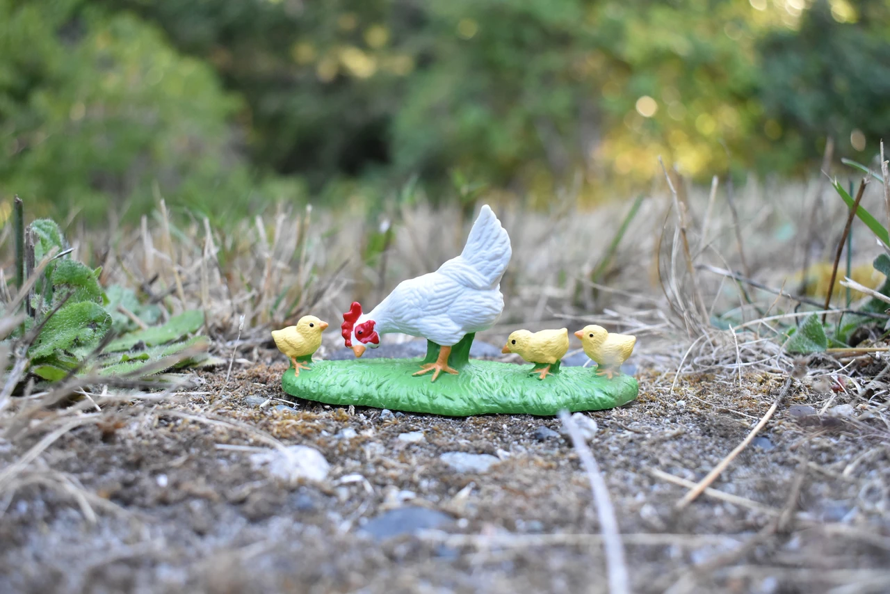 Chicken / With Chicks ~ Plastic Replica 3 3/4