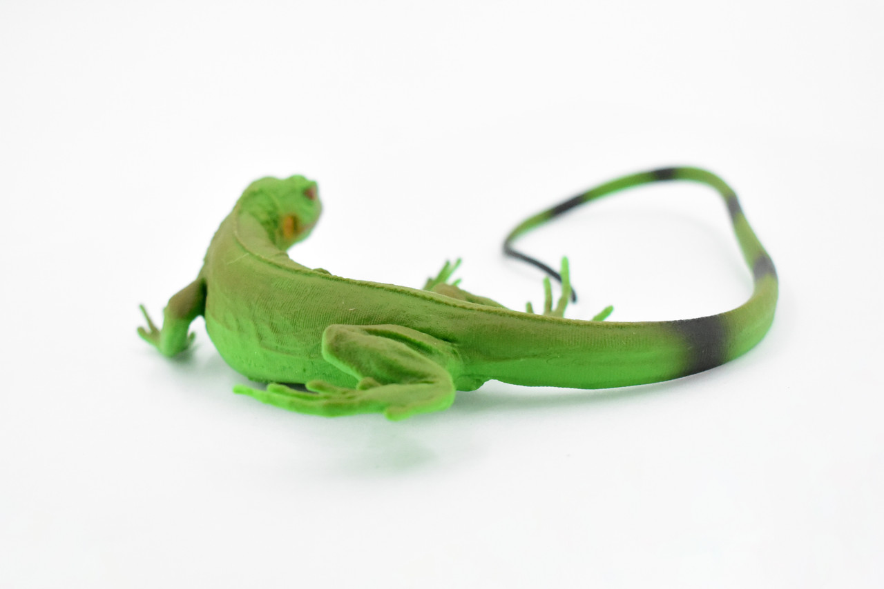 Iguana, Museum Quality, Rubber Reptile, Toy, Educational, Realistic Hand Painted Figure, Lifelike Model, Figurine, Replica, Gift,      12"     F7055 B187