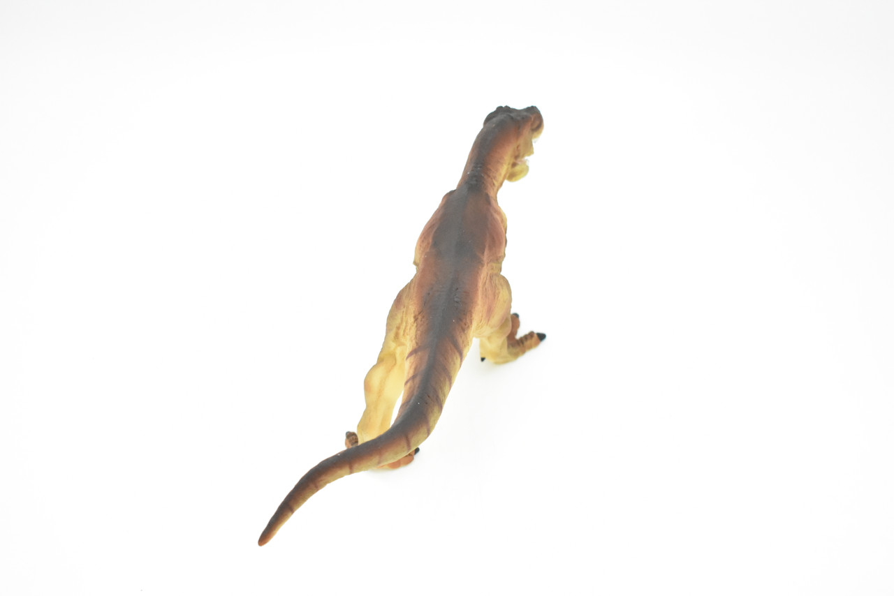 Tyrannosaurus rex, T. Rex, Dinosaur,  Museum Quality Plastic Replica     9"   F7058-B143