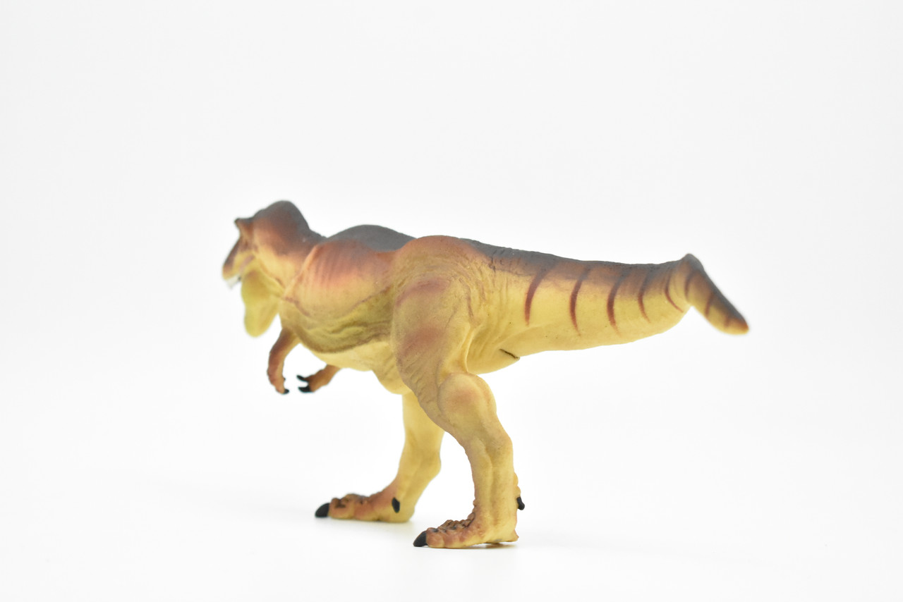 Tyrannosaurus rex, T. Rex, Dinosaur,  Museum Quality Plastic Replica     9"   F7058-B143