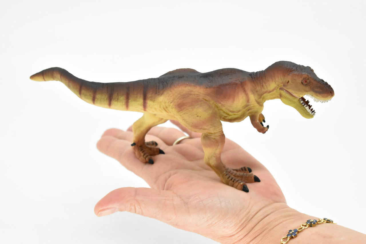 Tyrannosaurus rex, T. Rex, Dinosaur,  Museum Quality Plastic Replica     9"   F7058-B143