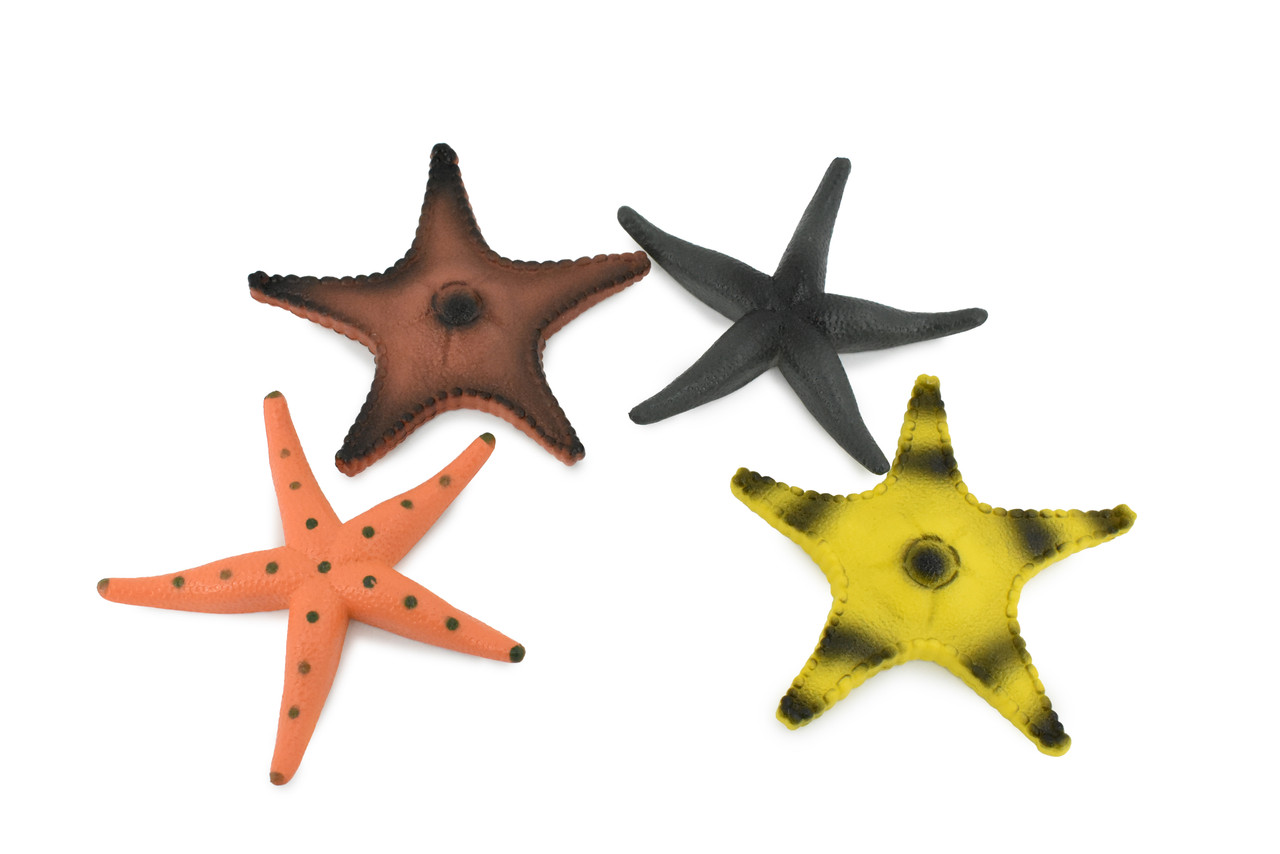 Starfish, 4 Piece Set, Sea Star, Echinoderms, Asteroidea, Ocean, Sea Life, Plastic Figure, Model, Realistic Replica, Educational Toy, Life Like, Gift,     4'      F0030 B37