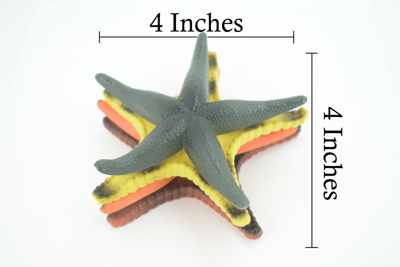 Starfish, 4 Piece Set, Sea Star, Echinoderms, Asteroidea, Ocean, Sea Life, Plastic Figure, Model, Realistic Replica, Educational Toy, Life Like, Gift,     4'      F0030 B37