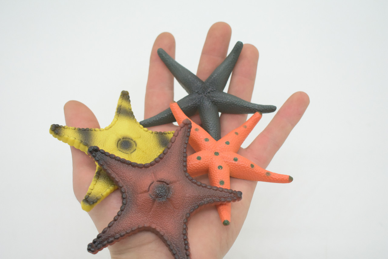 Starfish, 4 Piece Set, Sea Star, Echinoderms, Asteroidea, Ocean, Sea Life, Plastic Figure, Model, Realistic Replica, Educational Toy, Life Like, Gift,     4'      F0030 B37