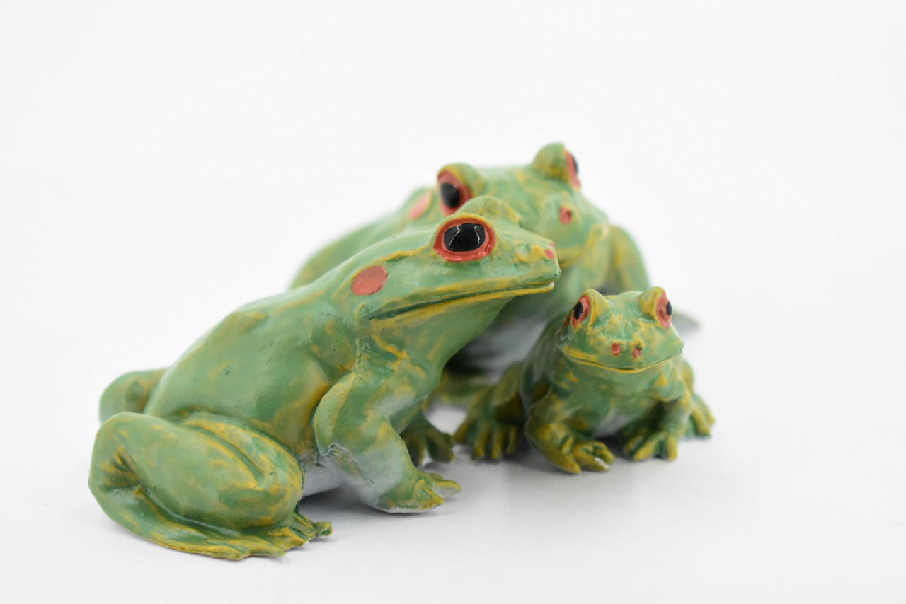Frog, Family, 3 Piece Set, Rubber Toy Amphibian, Realistic Figure, Model, Replica, Kids, Educational, Gift,     3 1/2"    F3692-B15