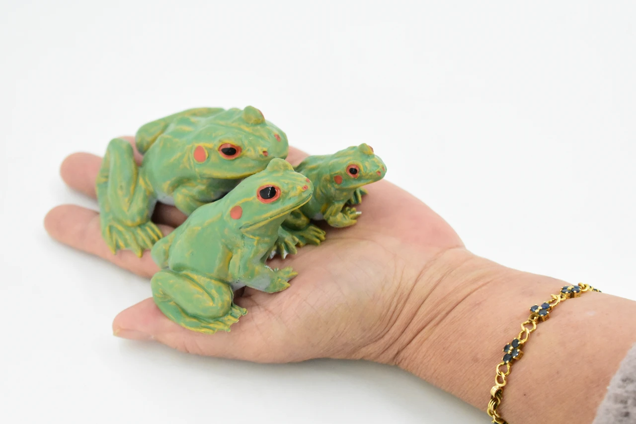 Frog, Family, 3 Piece Set, Rubber Toy Amphibian, Realistic Figure, Model, Replica, Kids, Educational, Gift,     3 1/2"    F3692-B15