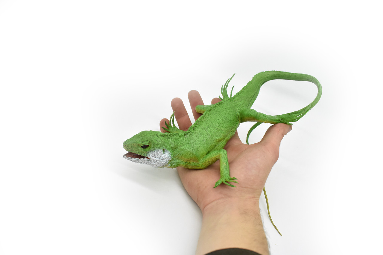 Iguana, Museum Quality, Rubber Reptile, Toy, Educational, Realistic Hand Painted Figure, Lifelike Model, Figurine, Replica, Gift,    22"    F7059 B236