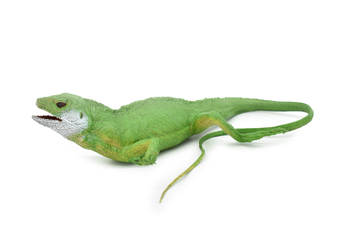 Iguana, Museum Quality, Rubber Reptile, Toy, Educational, Realistic Hand Painted Figure, Lifelike Model, Figurine, Replica, Gift,    22"    F7059 B236