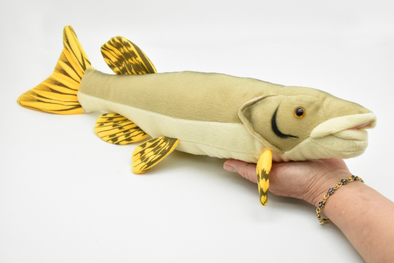 Pike, Great Northern Pike, Very Nice Plush Fish, Stuffed Animal, Educational, Toy, Kids, Realistic Figure, Gift,     17"