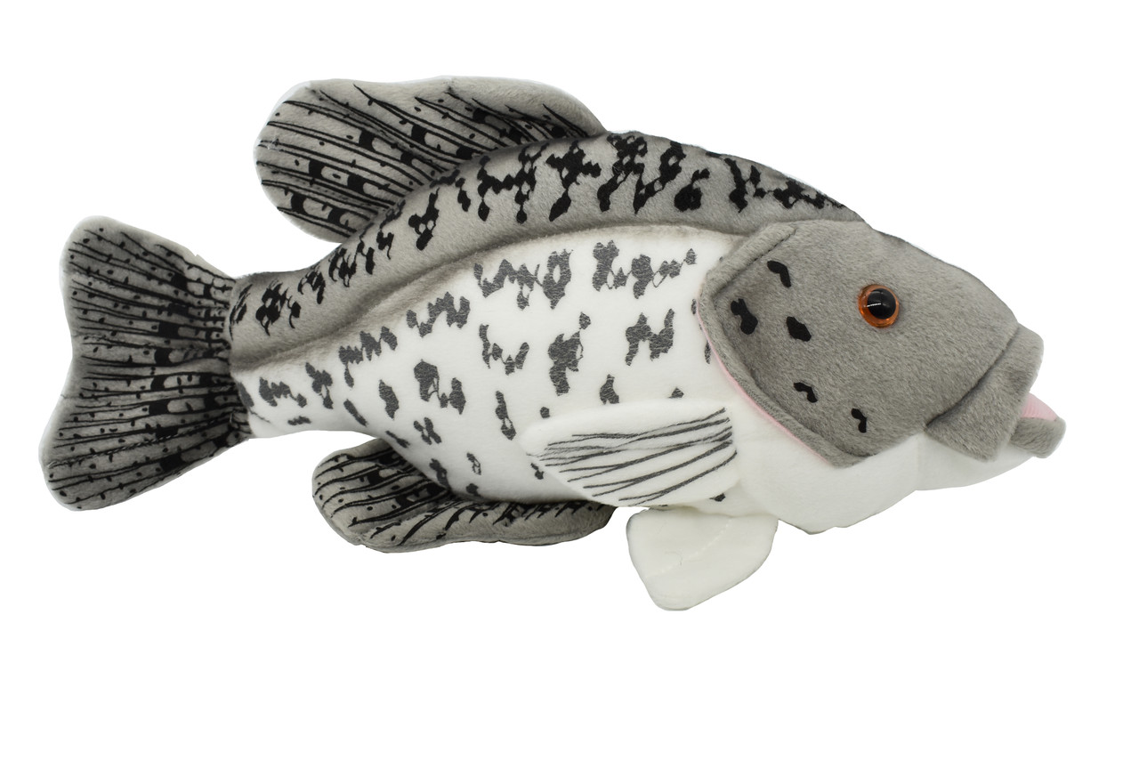 Black Crappie, Pappermouths, Fish, Realistic, Lifelike, Stuffed, Soft, Toy, Educational, Animal, Kids, Gift, Very Nice Plush Animal        14"      F2413 BB55