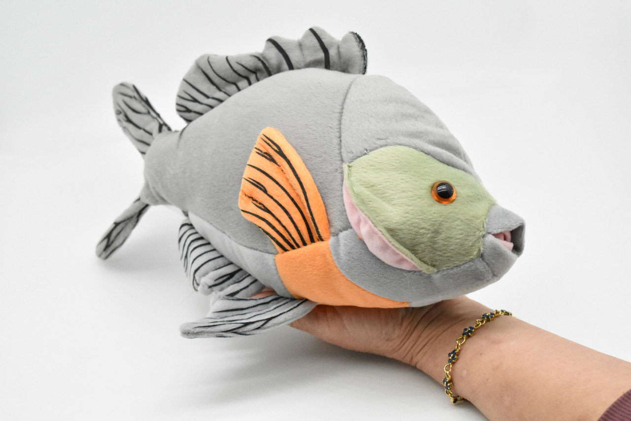 Sunfish, Bluegill, Bream, Fish, Stuffed Animal, Educational, Realistic Figure, Lifelike Model, Replica, Gift, Very Nice Plush Animal          12 1/2"      F2411 BB54