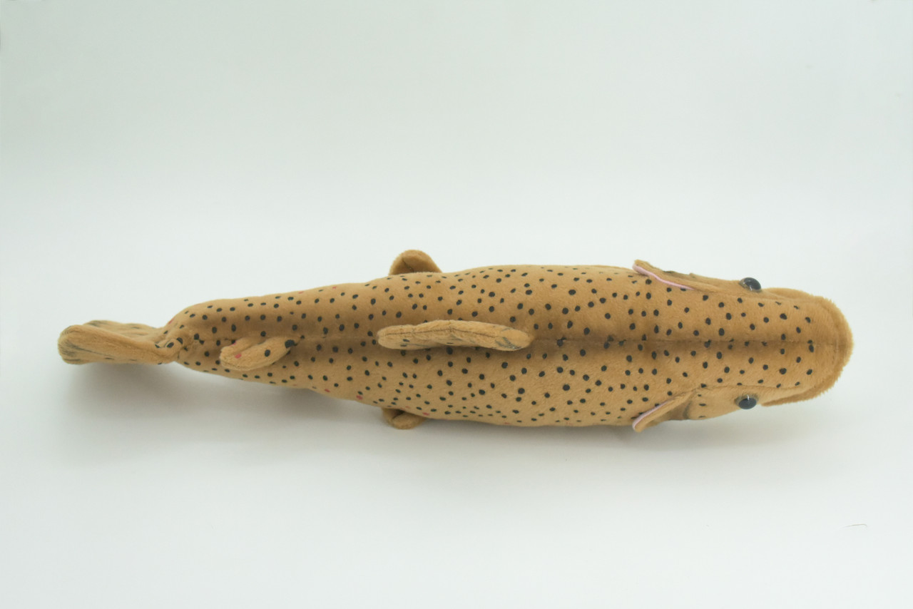 Brown Trout Plush Toy, Realistic Stuffed Animal, Soft Plush Fish, Stuffed Fish, Educational, Toy, Kids, Gift,         17"       F2416 BB53