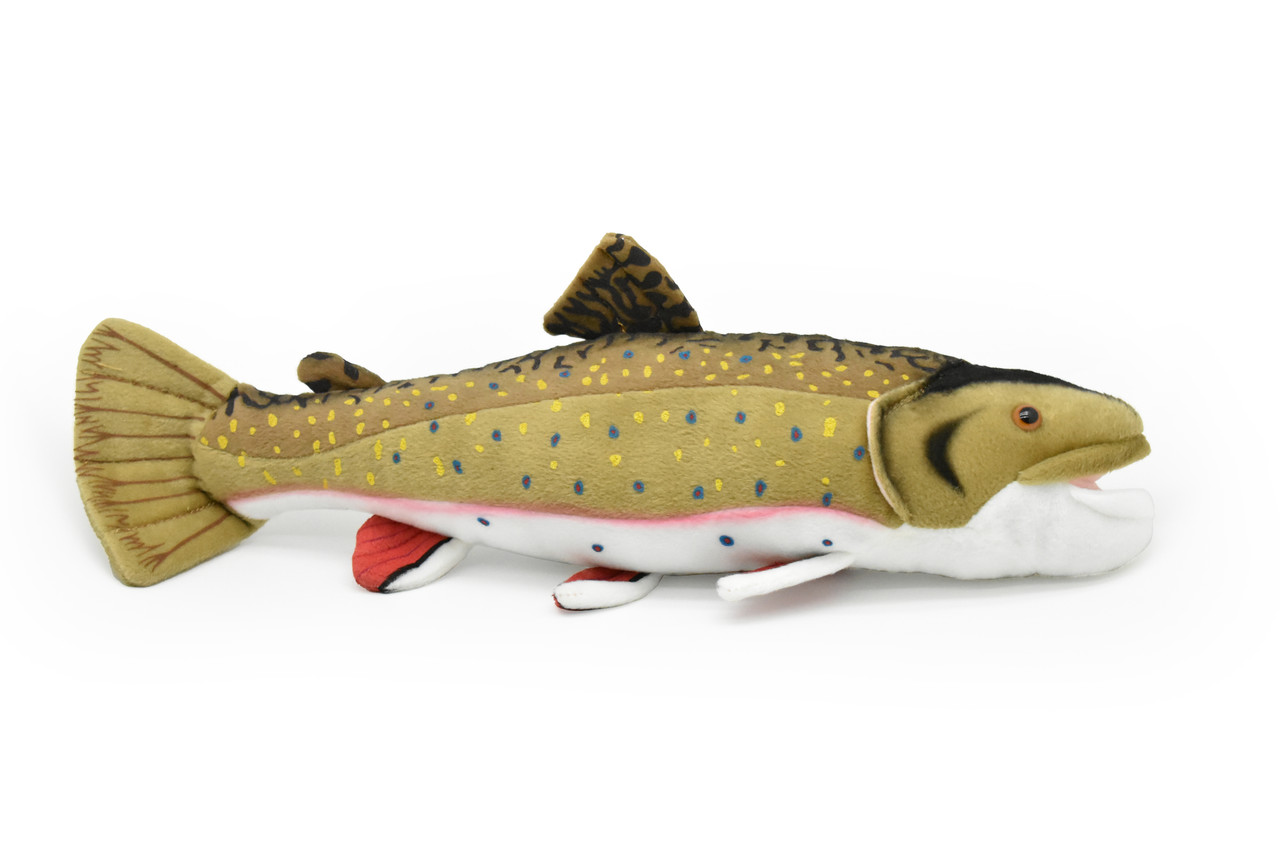 Brook Trout, Brookie, Very Nice Plush Fish, Stuffed Animal, Educational, Toy, Kids, Realistic Figure, Gift,        17"
