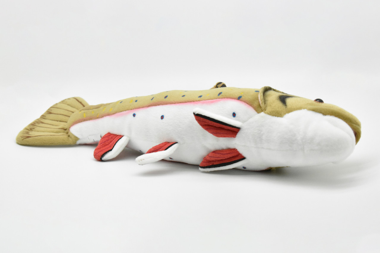 Brook Trout Plush Toy, Realistic Stuffed Animal, Brookie, Soft Plush Fish, Stuffed Fish, Educational, Toy, Kids, Gift,        17"         F2417 BB56