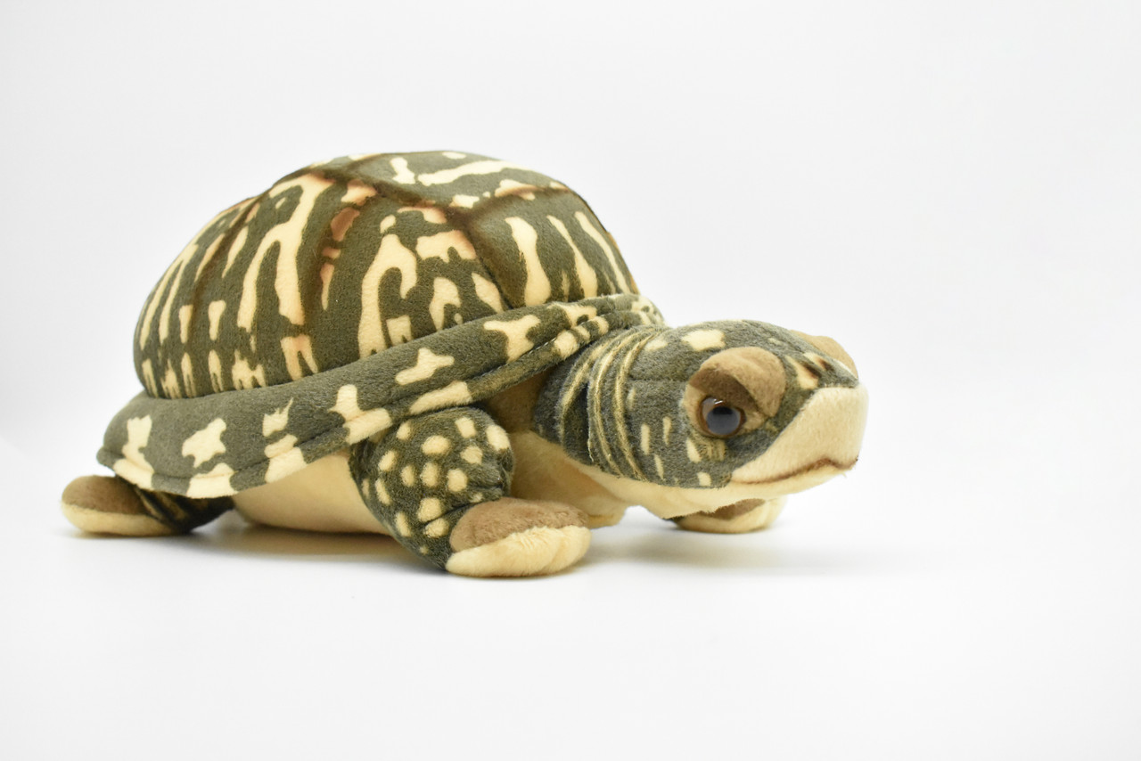 Box Turtle, Tortoise, Turtle, Stuffed Reptile, Educational, Plush Realistic Figure, Lifelike Model, Very Nice Plush Turtle   12"