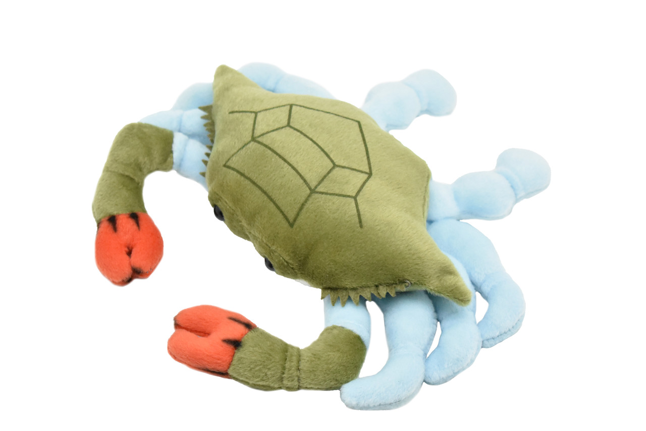 CraCrab, Blue Crab, Realistic, Plush Crustaceans, Design, Educational, Toy, Kids, Realistic Figure, Lifelike, Very Nice Plush Crab       9"  b, Blue Crab, Realistic, Plush Crustaceans, Design, Educational, Toy, Kids, Realistic Figure, Lifelike, Very Nice Plush Crab       9"  