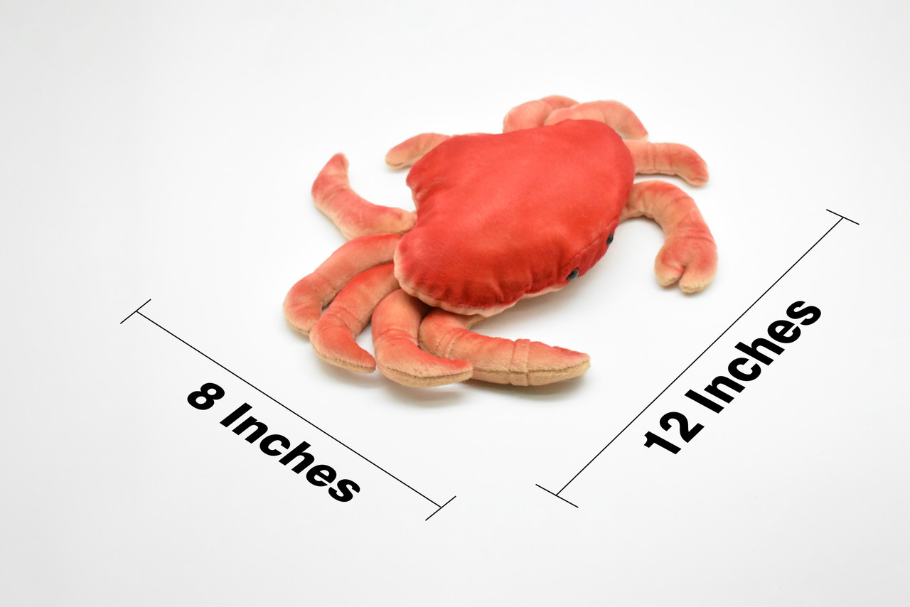 Dungeness Crab, Realistic, Crustaceans, Design, Educational, Toy, Kids, Lifelike Model, Very Nice Plush Crab     12" 