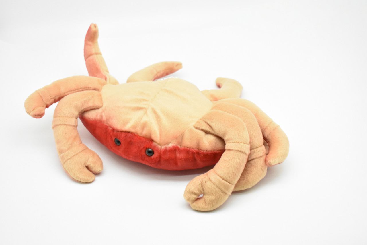 Dungeness Crab Plush Toy, Realistic Stuffed Animal, Stuffed Crab, Crustaceans, Design, Educational, Toy, Kids, Lifelike Model, Soft Plush Crab     12"    F2425 BB52