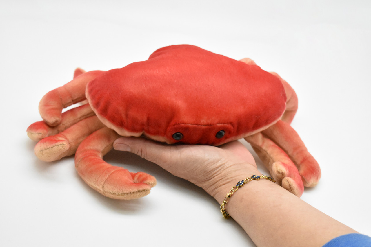 Dungeness Crab, Realistic, Crustaceans, Design, Educational, Toy, Kids, Lifelike Model, Very Nice Plush Crab     12" 
