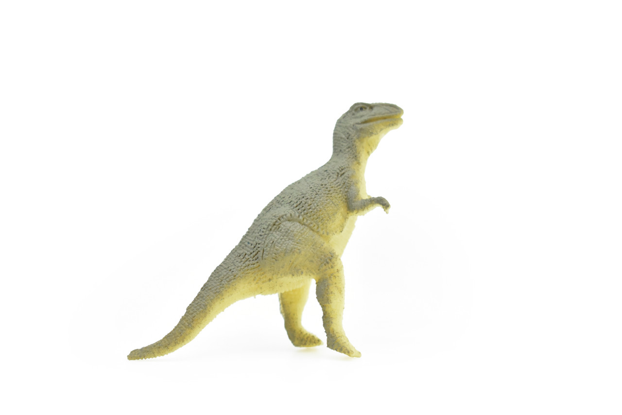 Tyrannosaurus rex, T. Rex, Dinosaur, ~ Plastic Replica     3"   F1862-B4