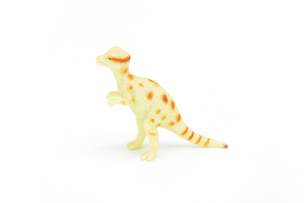 Pachycephalosaurus Dinosaur, Very Nice Plastic Replica    3"    F1863-B4