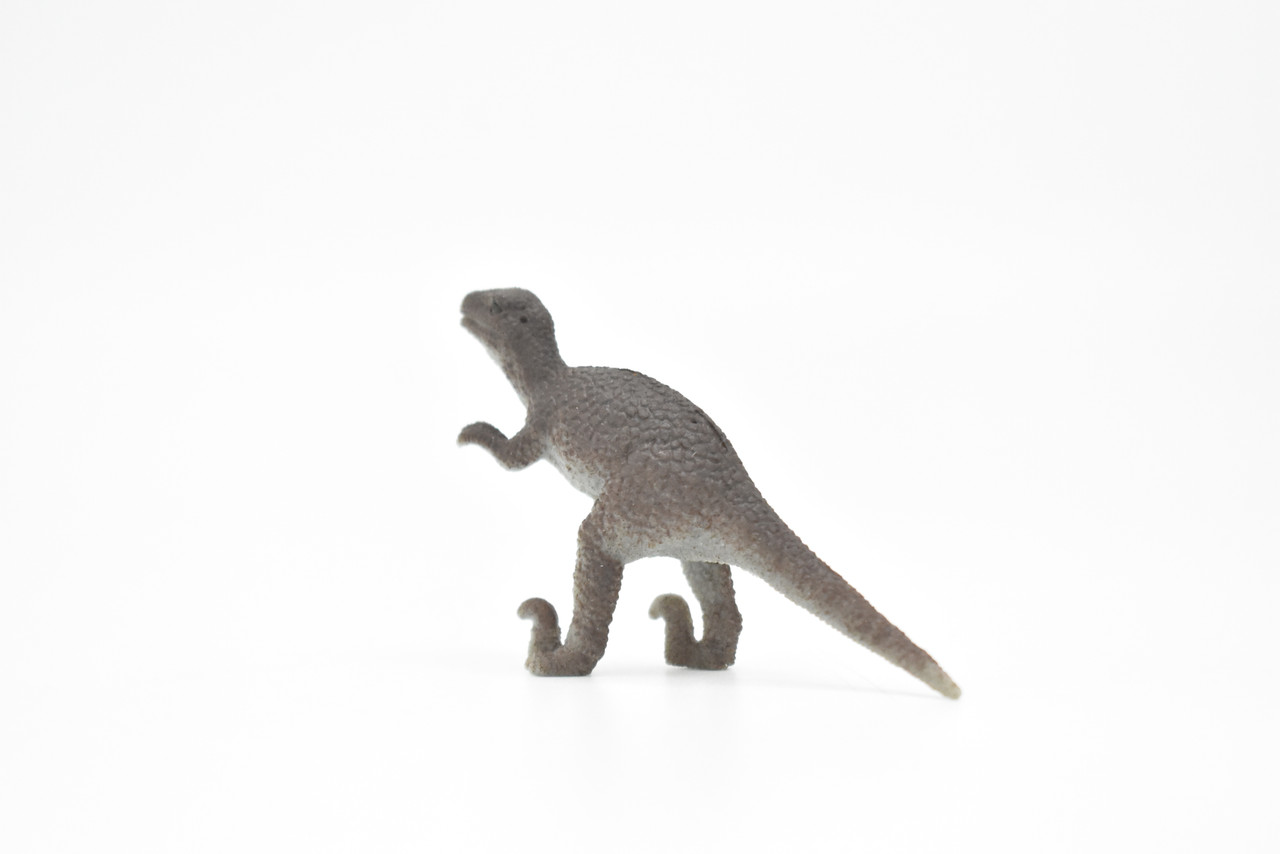 Velociraptor Dinosaur,~ Plastic Replica      2 3/4"       F1864-B4