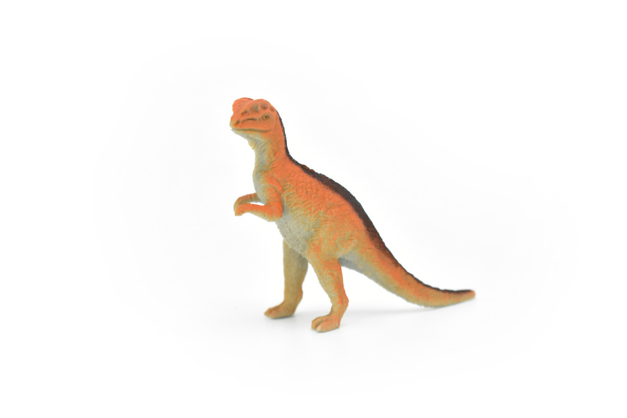 Dilophosaurus  Dinosaur, Very Nice Plastic Replica    3"     F1869-B4