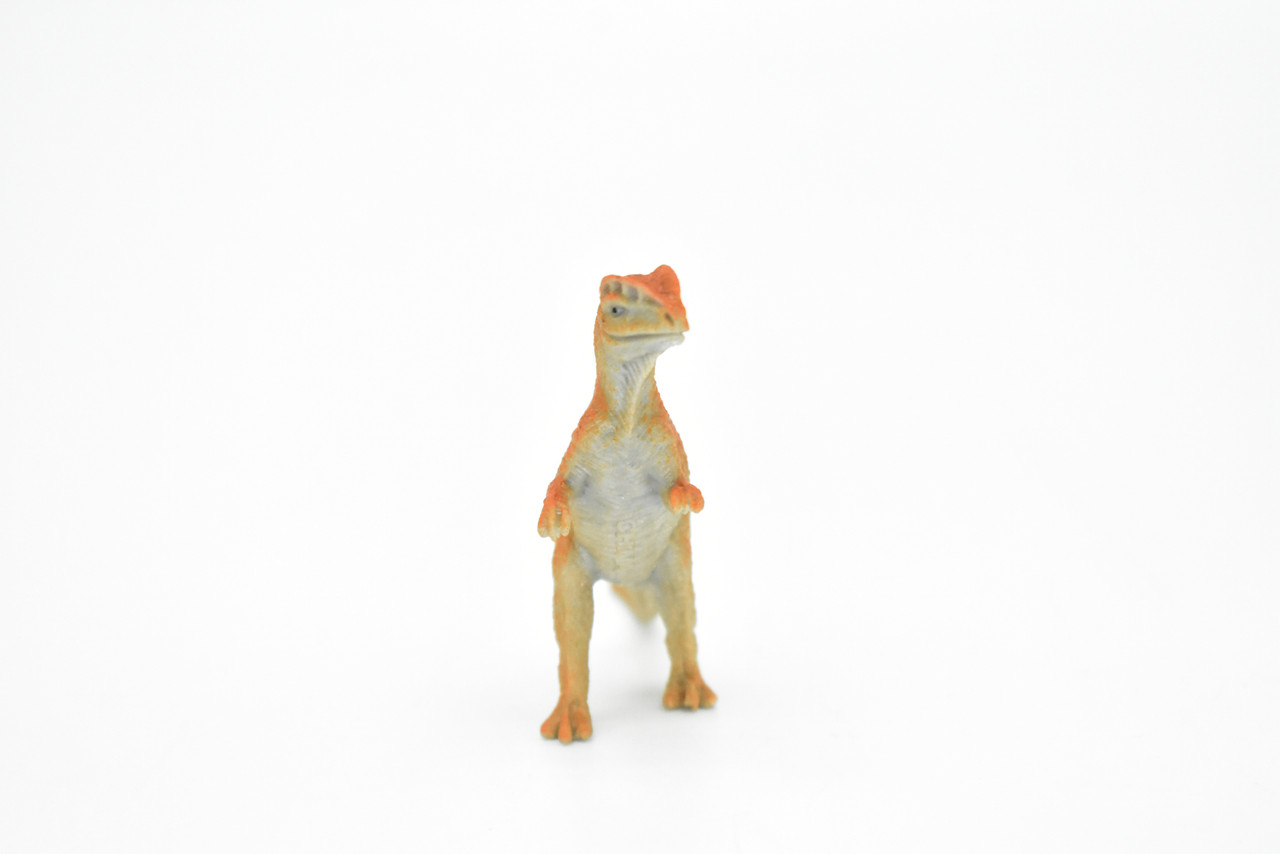 Dilophosaurus  Dinosaur, Very Nice Plastic Replica    3"     F1869-B4