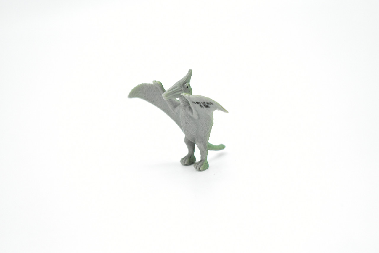 Pterodactyl Dinosaur, Very Nice Plastic Replica   2 1/2"   F1870-B4