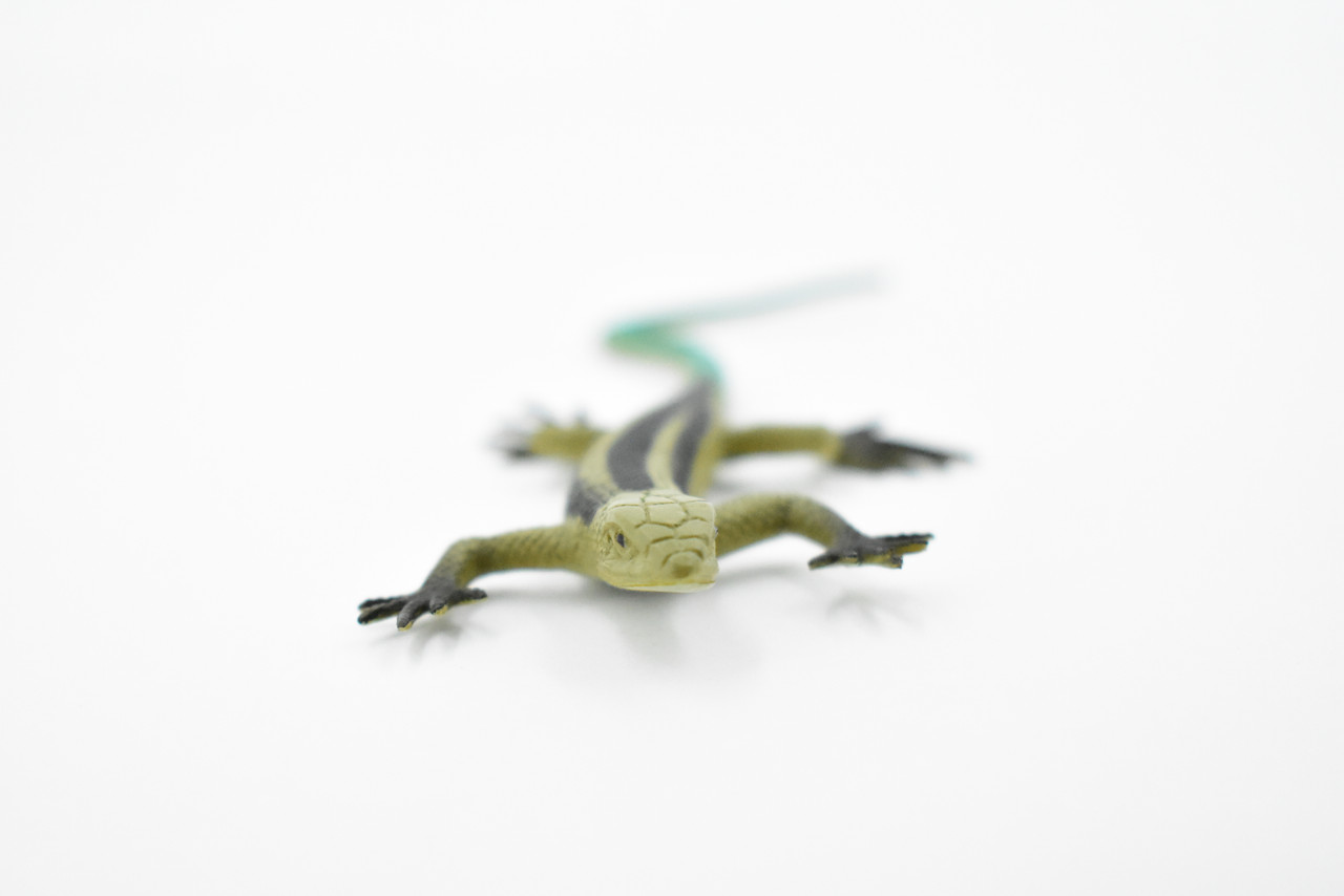 Lizard, Five-Lined Skink, Juvenile, Rubber, Reptile Toy, Realistic Figure, Model, Replica, Kids, Educational, Gift,       5"        F6106 B381