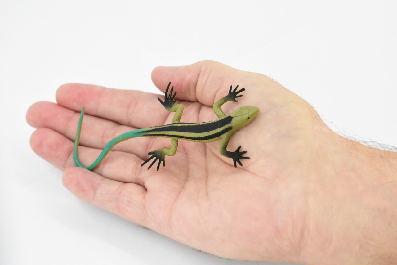 Lizard, Five-Lined Skink, Juvenile, Rubber, Reptile Toy, Realistic Figure, Model, Replica, Kids, Educational, Gift,       5"        F6106 B381