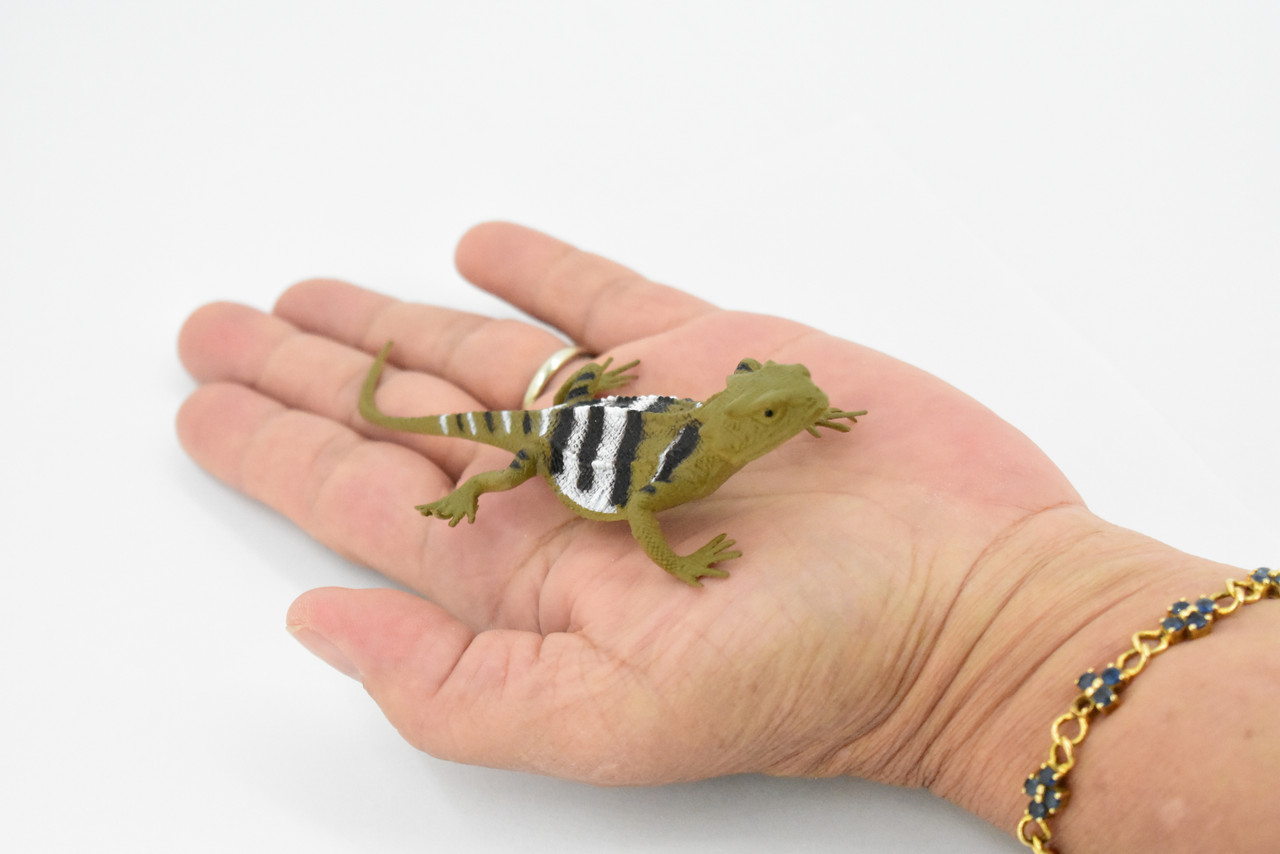 Lizard, Desert Short-Horned Lizard, Horned Toad, Museum Quality, Rubber Reptile, Toy, Educational, Realistic, Figure, Lifelike Model, Replica, Gift,  5"     F6108 B381