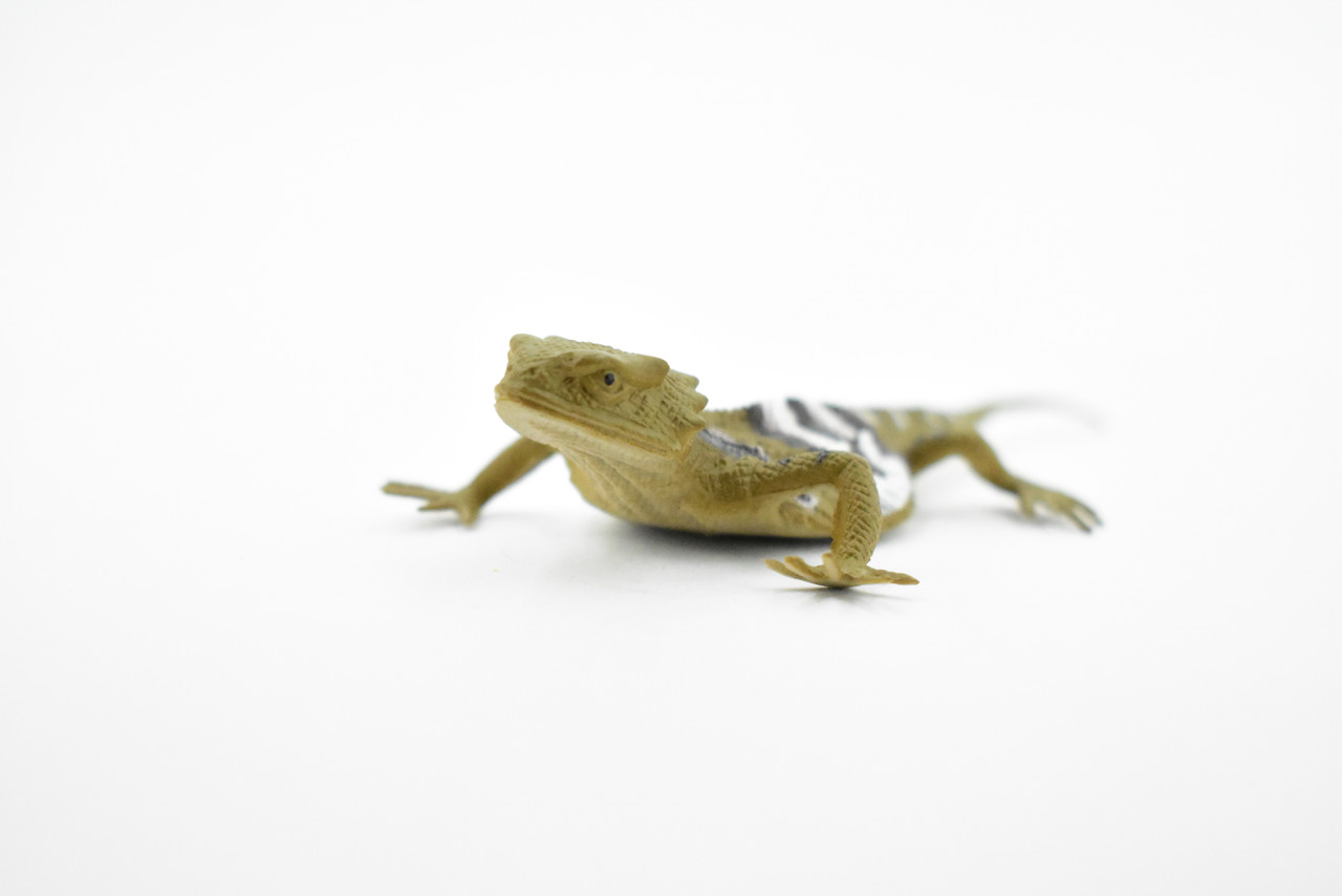 Lizard, Desert Short-Horned Lizard, Horned Toad, Museum Quality, Rubber Reptile, Toy, Educational, Realistic, Figure, Lifelike Model, Replica, Gift,  5"     F6108 B381