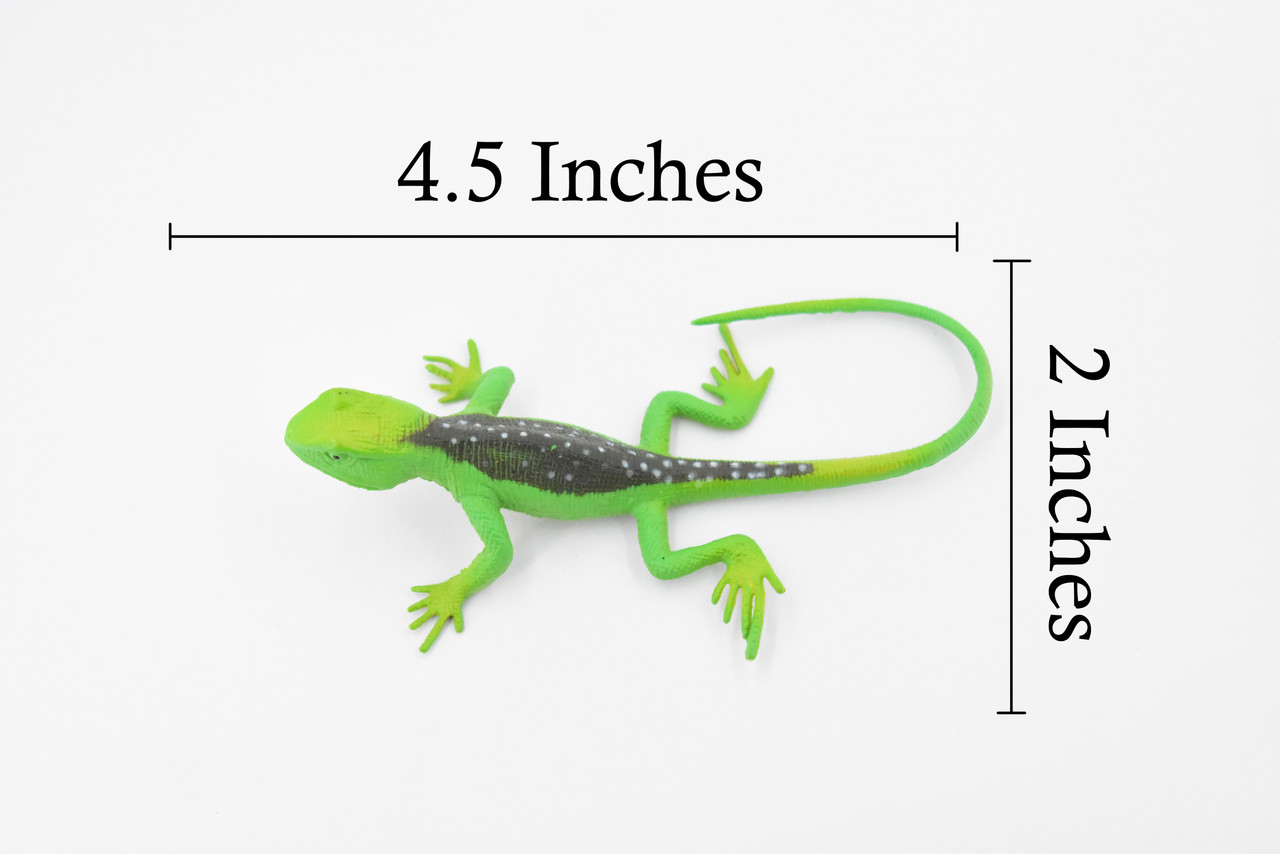 Lizard, Collared Lizard, Female, Rubber Reptile Toy, Realistic Figure, Model, Replica, Kids, Educational, Gift,       4 1/2"     F6109 B381