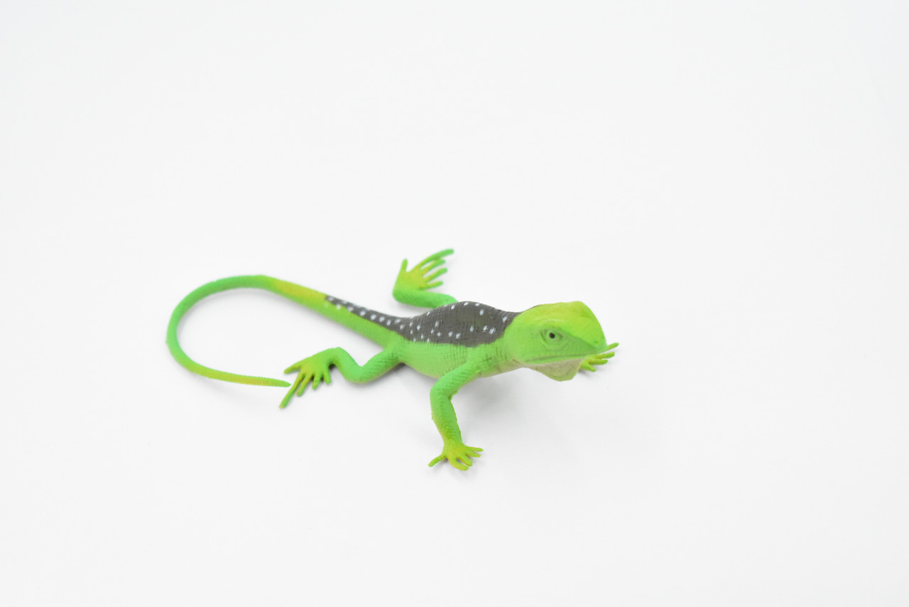 Lizard, Collared Lizard, Female, Rubber Reptile Toy, Realistic Figure, Model, Replica, Kids, Educational, Gift,       4 1/2"     F6109 B381