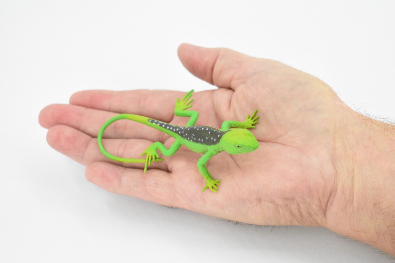 Lizard, Collared Lizard, Female, Rubber Reptile Toy, Realistic Figure, Model, Replica, Kids, Educational, Gift,       4 1/2"     F6109 B381