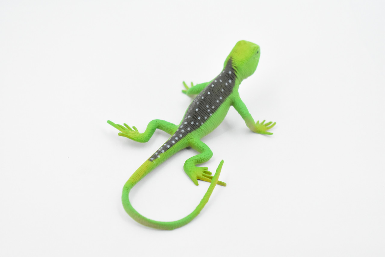 Lizard, Collared Lizard, Female, Rubber Reptile Toy, Realistic Figure, Model, Replica, Kids, Educational, Gift,       4 1/2"     F6109 B381