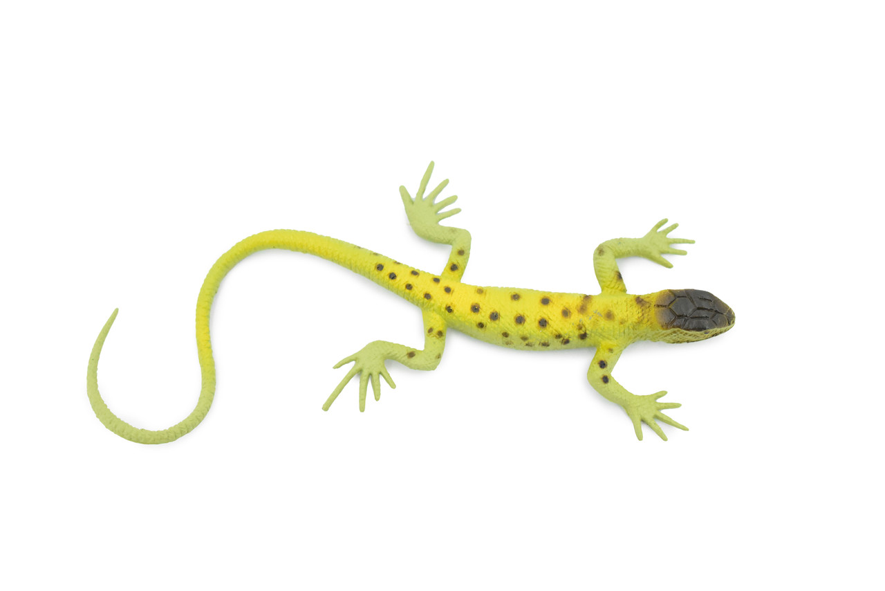 Lizard, Arizona Night Lizard, Rubber, Reptile Toy, Realistic Figure, Model, Replica, Kids, Educational, Gift,       5"         F6110 BB381