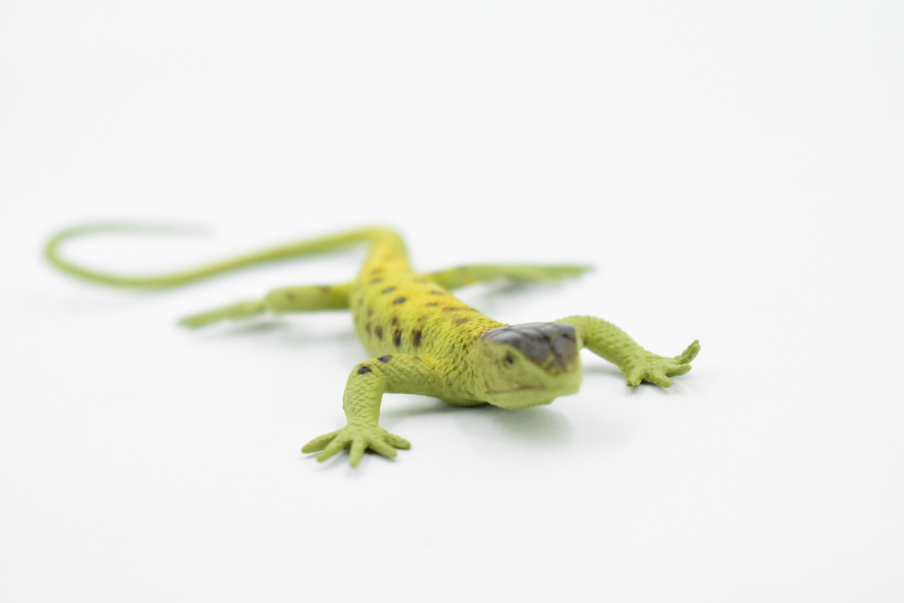 Lizard, Arizona Night Lizard, Rubber, Reptile Toy, Realistic Figure, Model, Replica, Kids, Educational, Gift,       5"         F6110 BB381