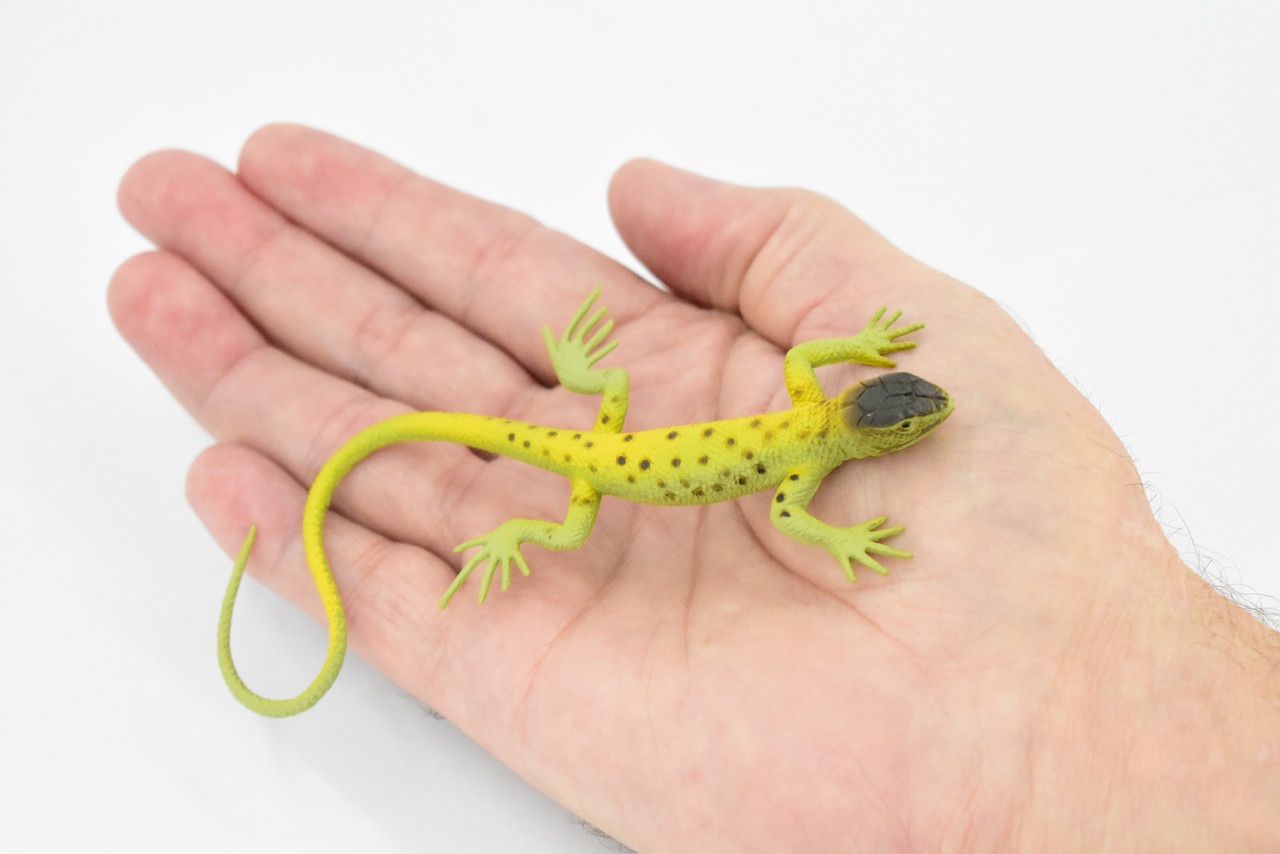 Lizard, Arizona Night Lizard, Rubber, Reptile Toy, Realistic Figure, Model, Replica, Kids, Educational, Gift,       5"         F6110 BB381