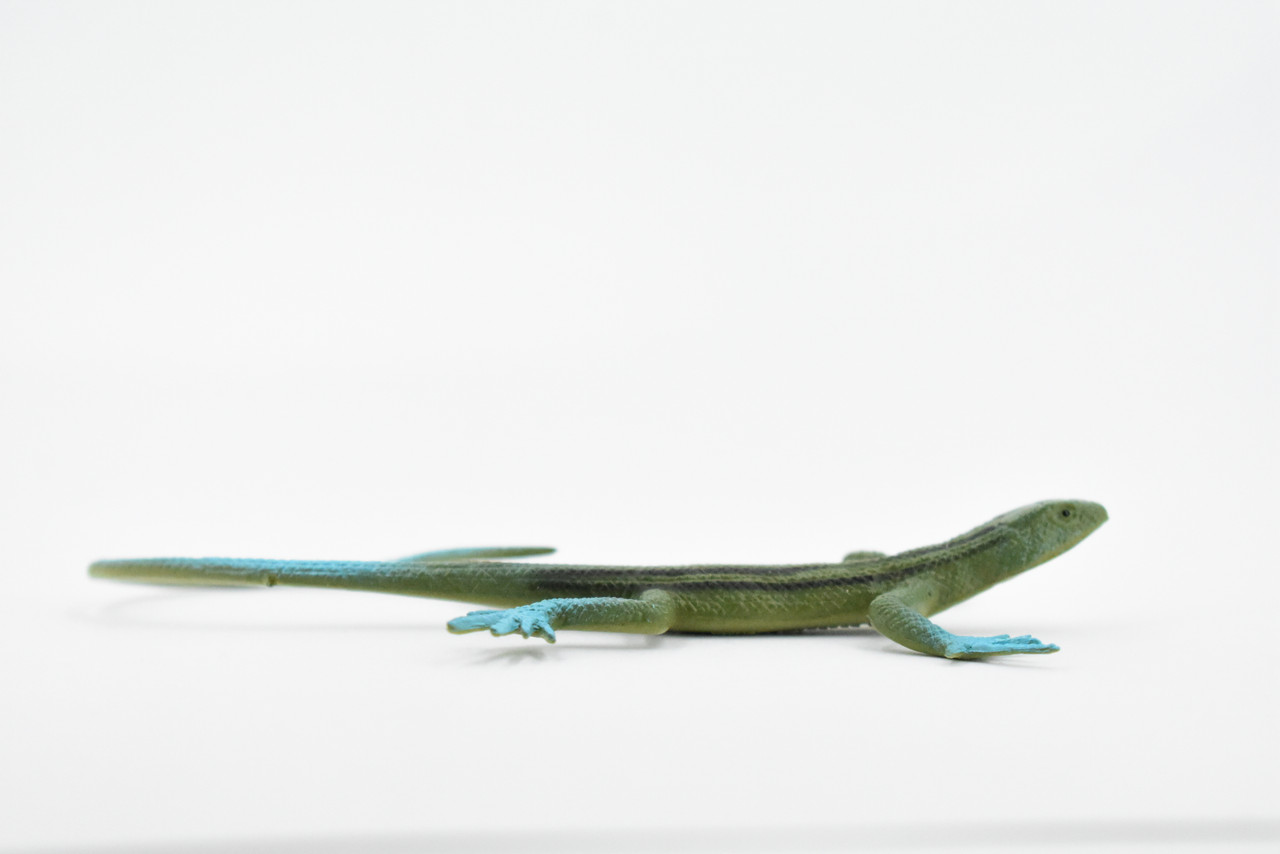 Lizard,  Desert-Grassland Whiptail, Rubber, Reptile Toy, Realistic Figure, Model, Replica, Kids, Educational, Gift,       5"       F6111 B381